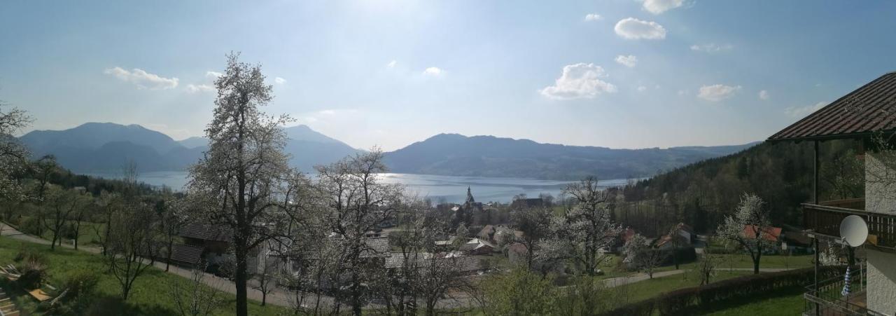 Attersee-Chalet Angermann Familie Spalt Steinbach am Attersee Exterior photo